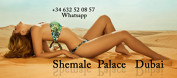 kiss, fuck, suck, massage erotic, rimming, blowjob. cum. . . . . . . Shemale Palace Dubai